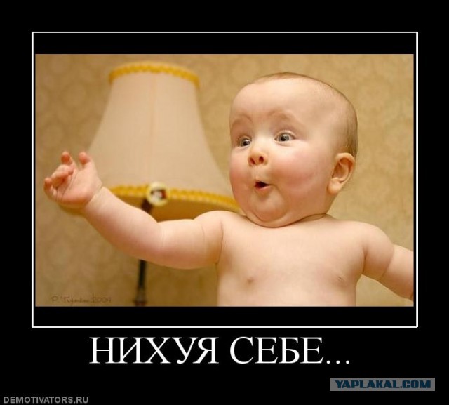 Воронка съела деревья