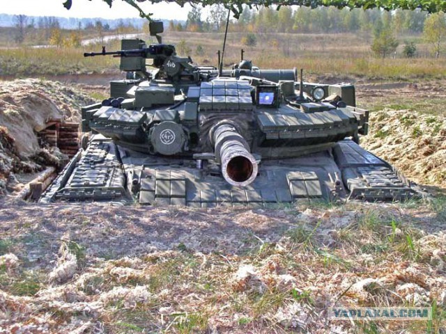 Т-шные мордочки