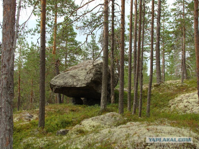 Рыбалка в Карелии