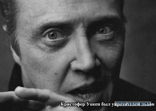 20 фактов обо всем