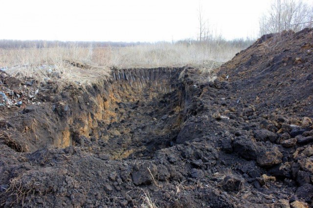 Один день из жизни импортозаместителей