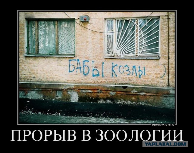 Подборка картинок из соцсетей