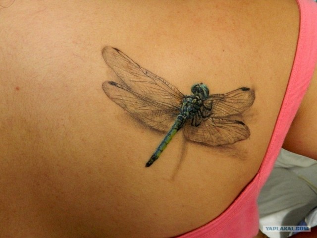 А вам нравятся татушки?