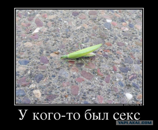 Почему женщина с детьми не востребована