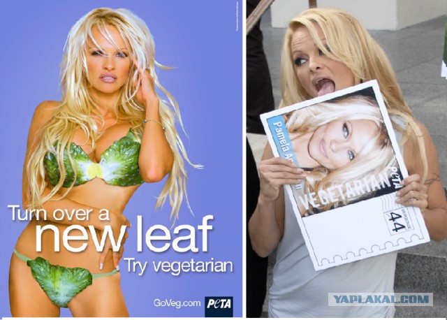 Встреча Сергея Иванова и Памелы Андерсон в Кремле