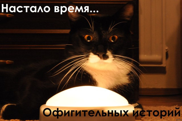 Две автоледи или две грани женской сущности