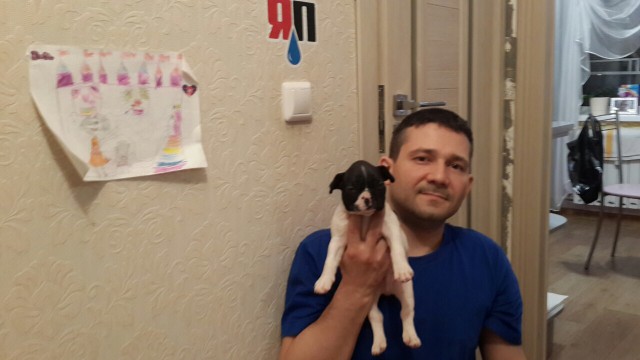 Завёл себе друга