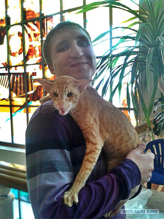 КотоВторник 26.04.2016