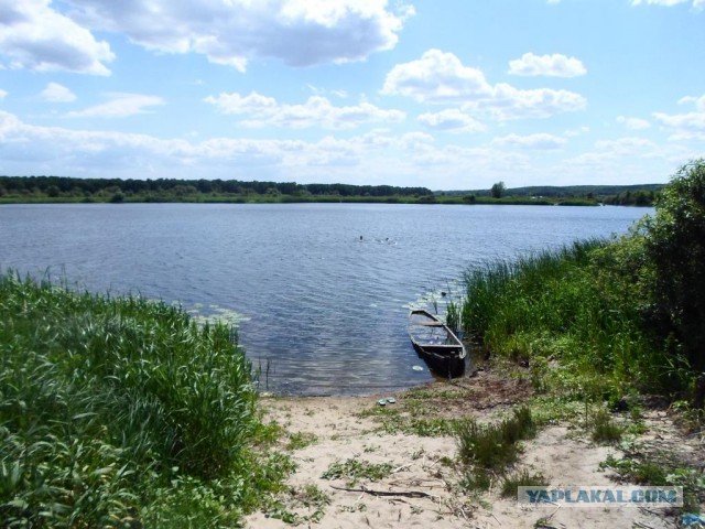 Пляжи 2016