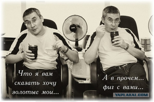 Смелые ЯПовцы.