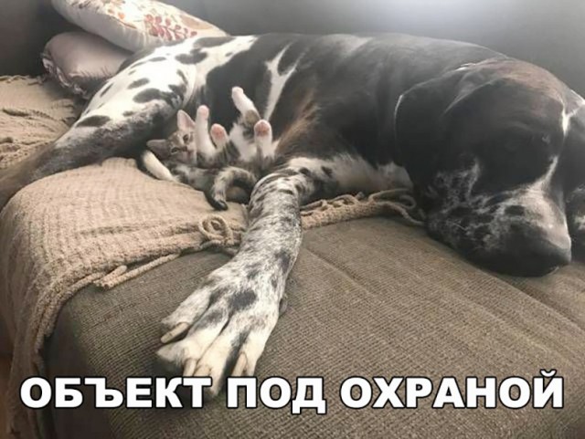 Подборка интересных и веселых картинок