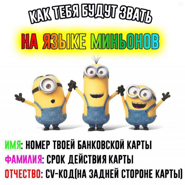Скотсети и прочие интернеты 29.01.18