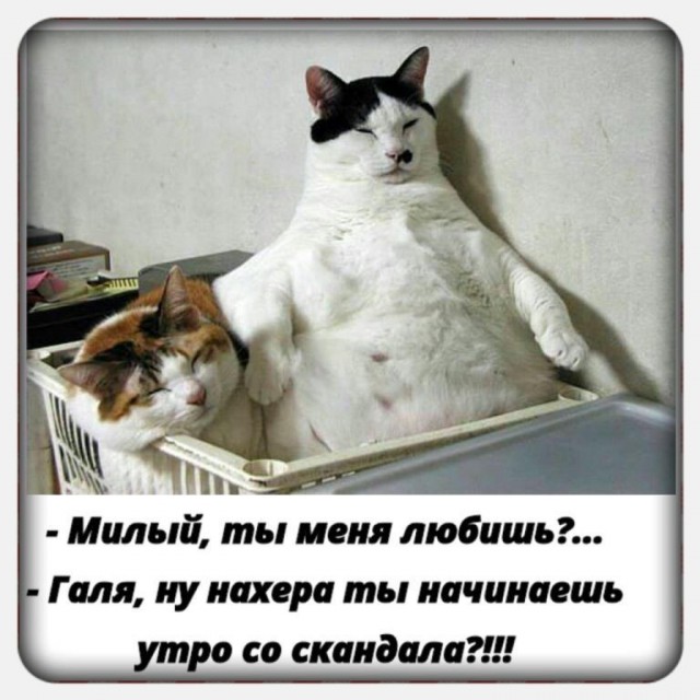 Немного веселых картинок из этих наших интернетов