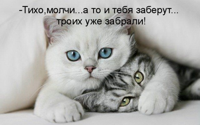 Размах на доллар, удара не будет?