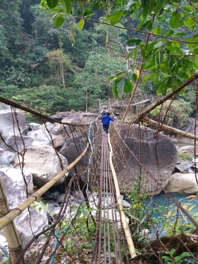 К живым мостам и обратно. Заметки из Индии