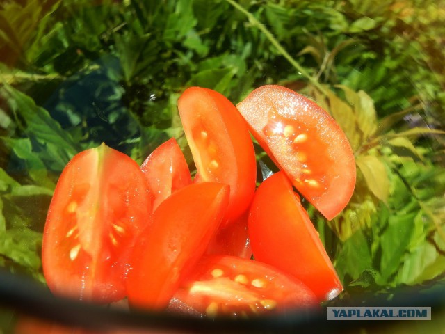 Коктейль из кильки с арбузом
