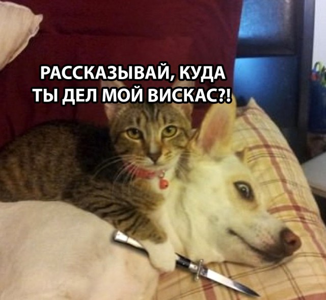 Немного картинок в эту субботу