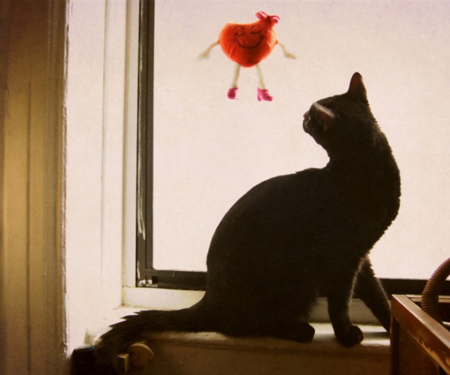 Котовторник на 31.03.2009