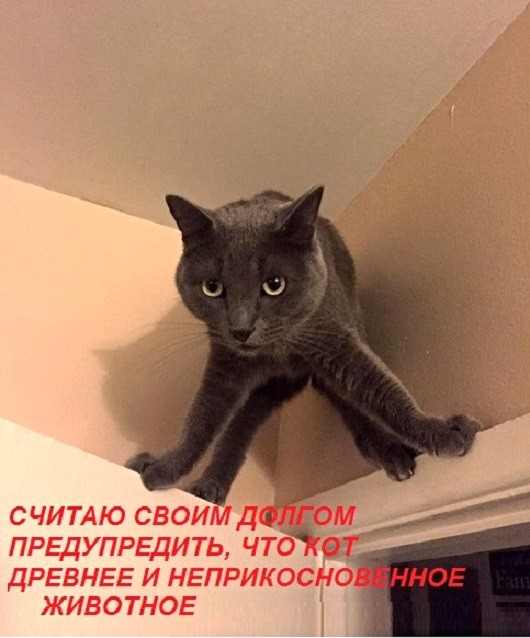 Фото, соц-сети и картинки с надписями 30.01.2019