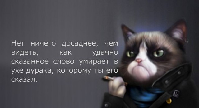 Анекдоты, соц-сети,мемы и картинки с надписями
