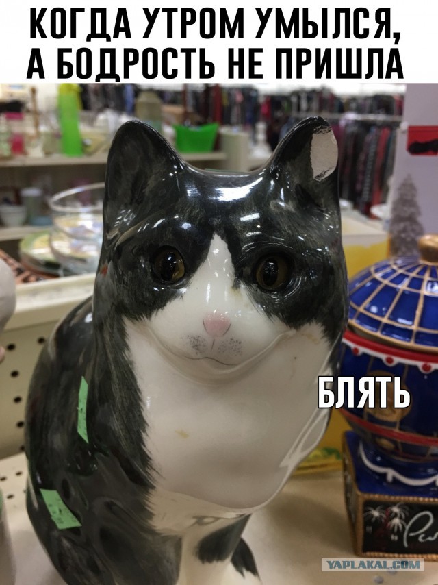 Куда катится жизнь