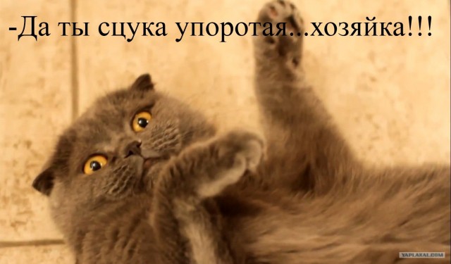 Хочу космонавта!