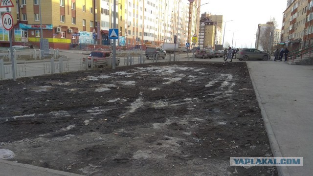 Пляж Бонди закрыт после того, как тысячи слабоумных любителей солнца проигнорировали запрет