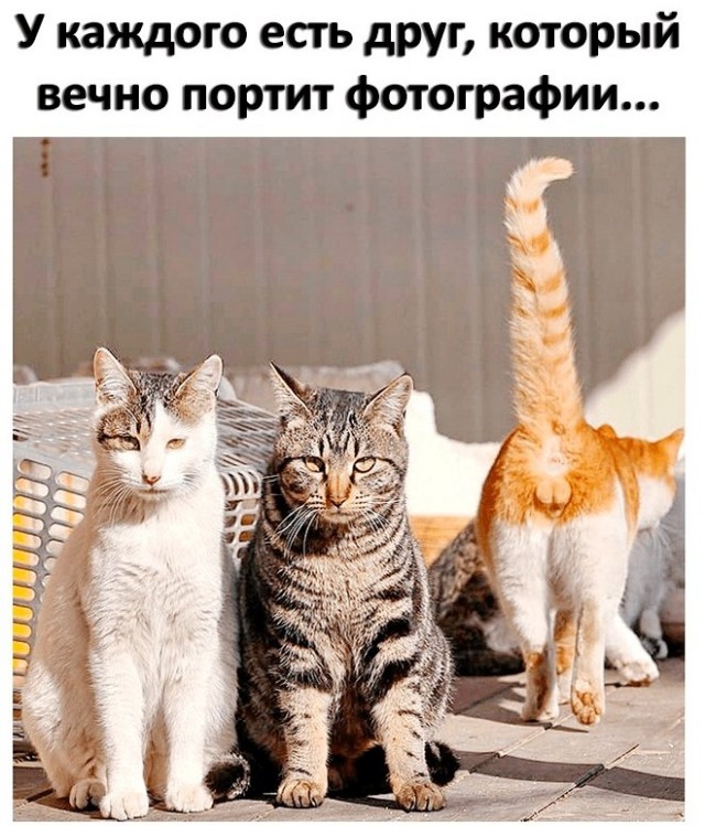 Бредзона 10.04.2020