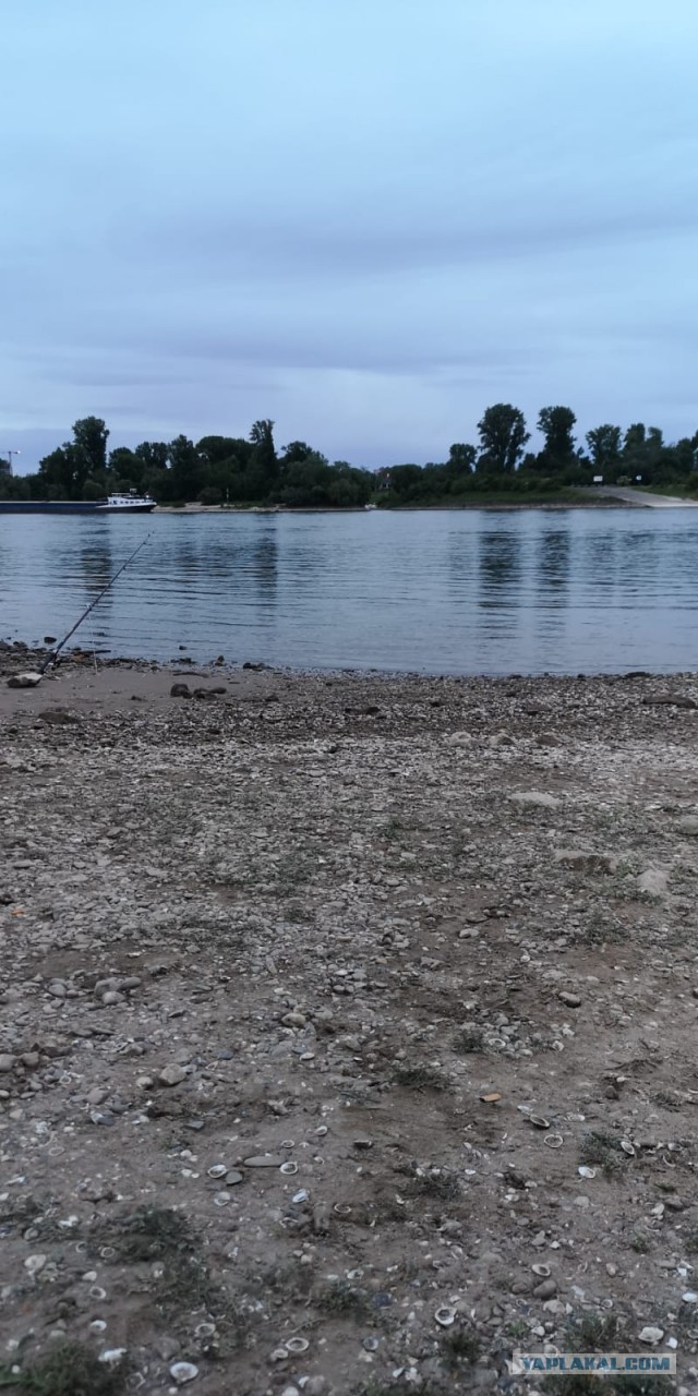 Давайте делиться фотками прошедшего дня