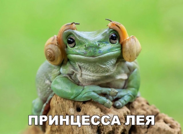 Чуток картинок 13.06.20