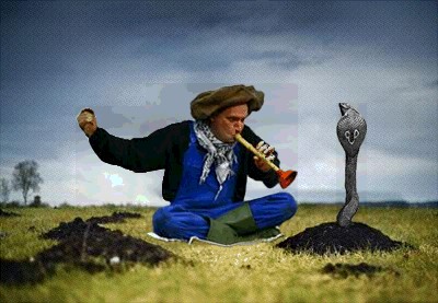 Охота на сусликов