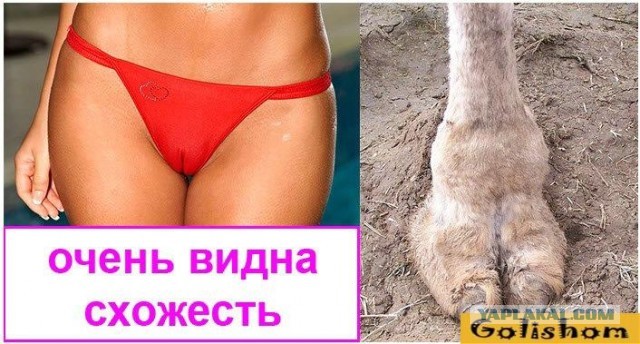 Картинки разные нужны, картинки всякие важны