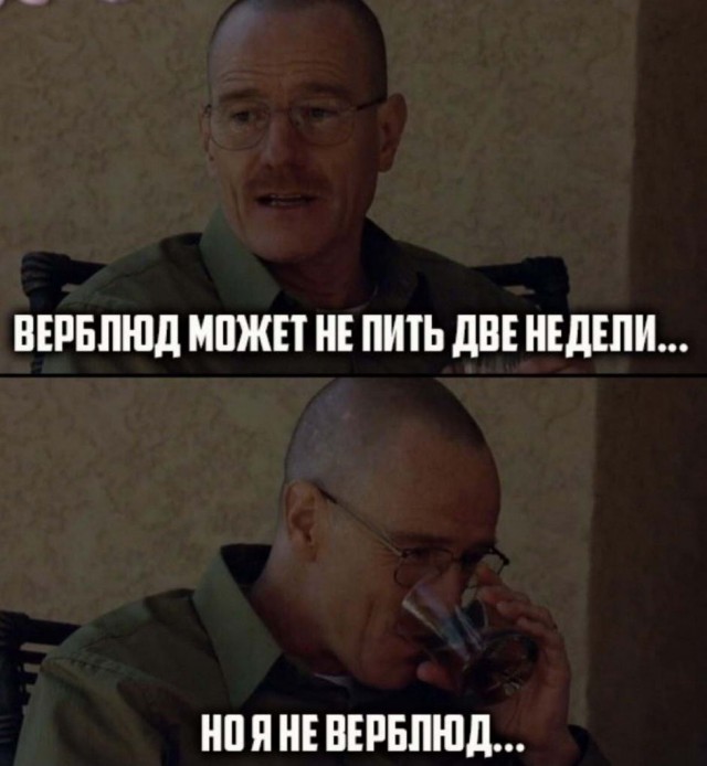 Алкопост на 03.10.20