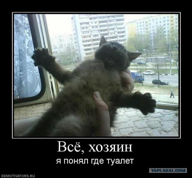 Фотожаба: Хозяин! Ты что делаешь?!