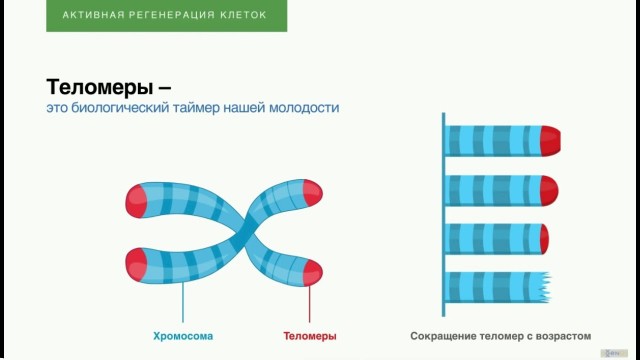 Техно-феодализм: о ближайшем будущем, в котором большинство людей окажутся ненужными