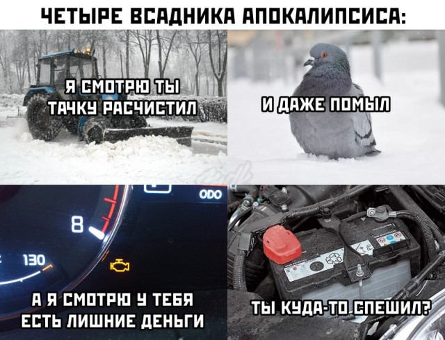 Весёлый полтишок 16.02