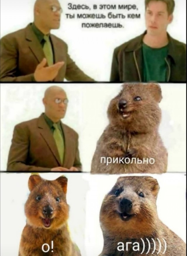 Не очень адекватный юмор
