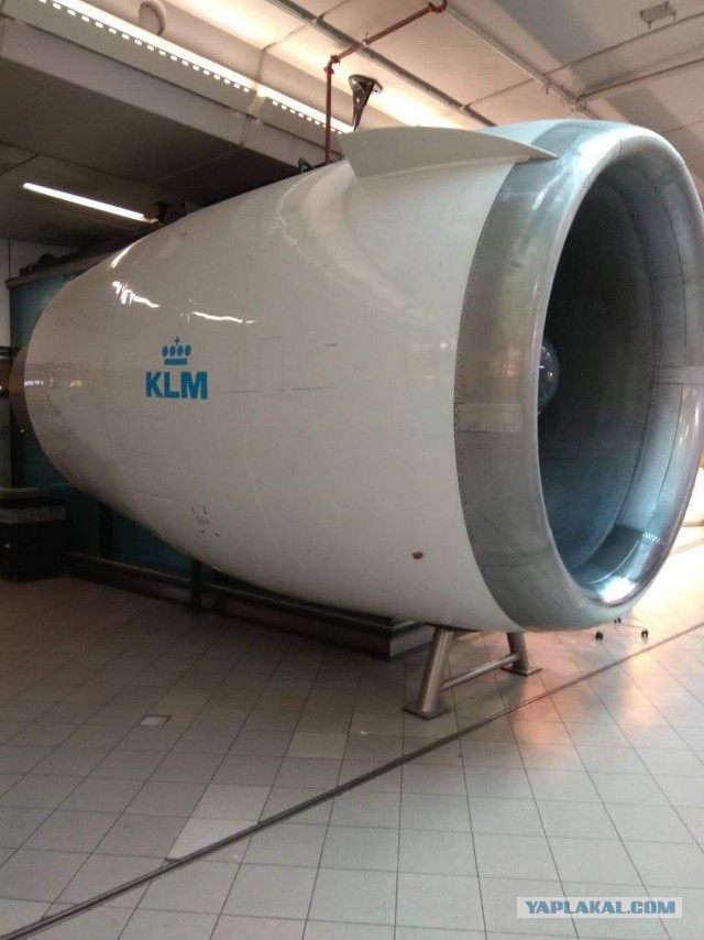 16 деталей жизни голландцев, которые доказывают, что между нашими странами — пропасть