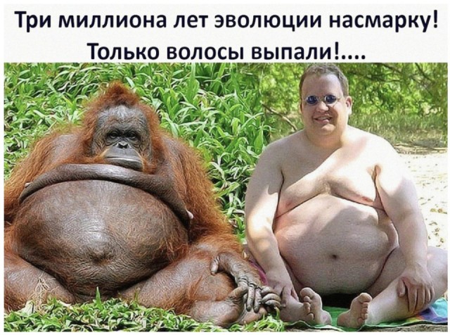 Картинки и мемы для настроения
