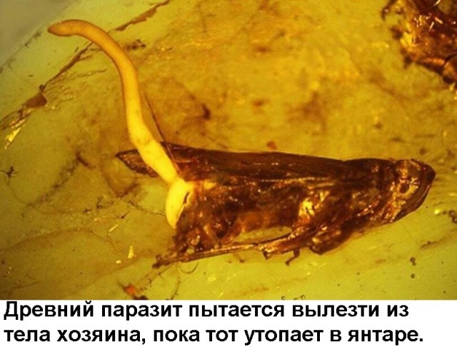 Всяческие картинки 15.07.2021