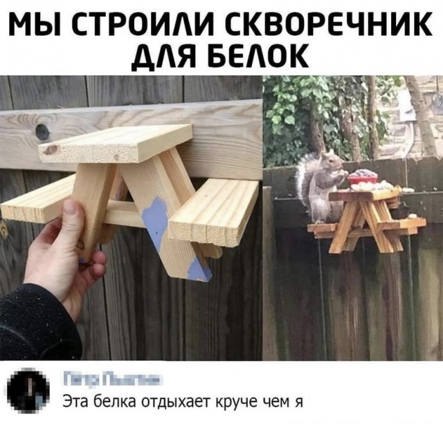 Картинки и мемы для настроения 23.09.2021