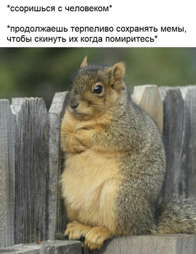 Баяны бабыЯны