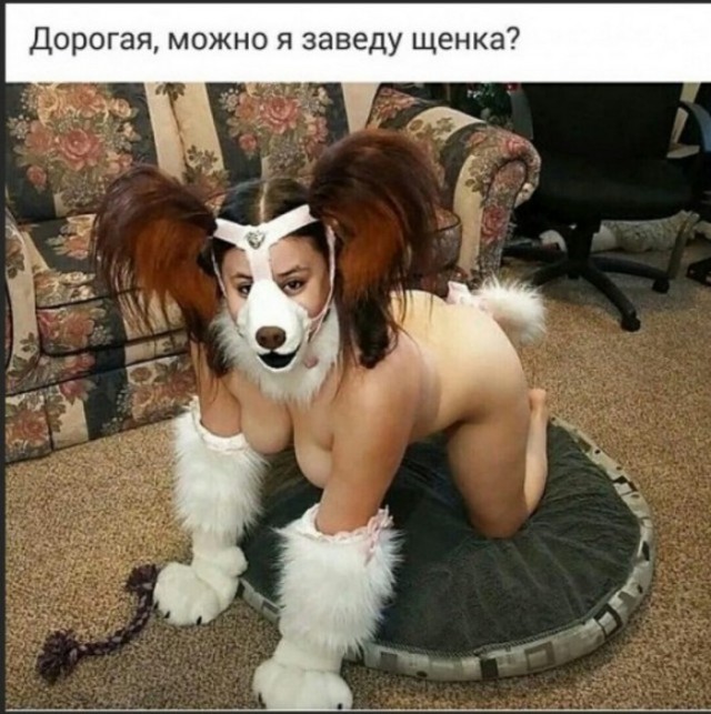 Разные картинки для настроения на любой вкус -10