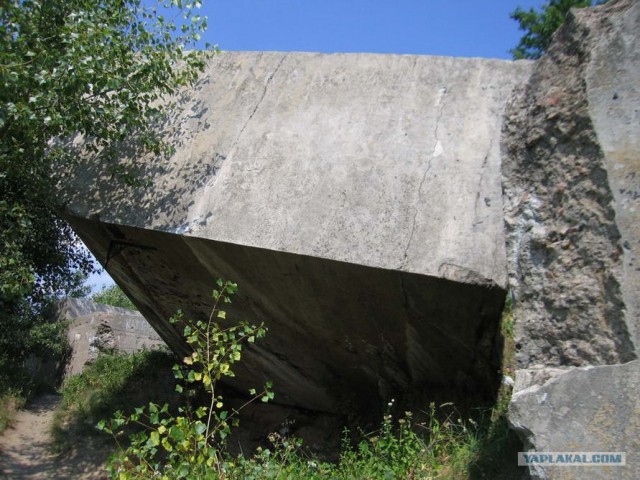 Форты Бреста