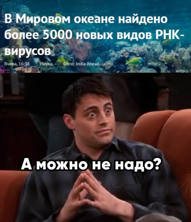 Так себе картинки 17.04.22