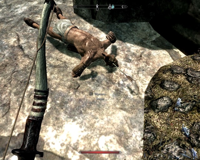 The Elder Scrolls V Skyrim