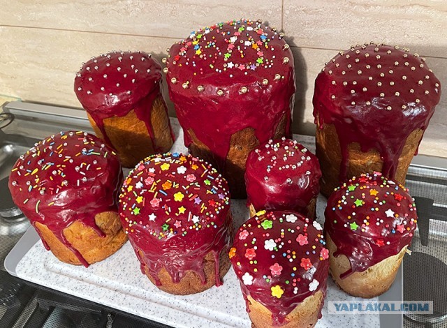 FAQ  по 100% ангажированию очаровательной особы для приятного времяпрепровождения. Кулич