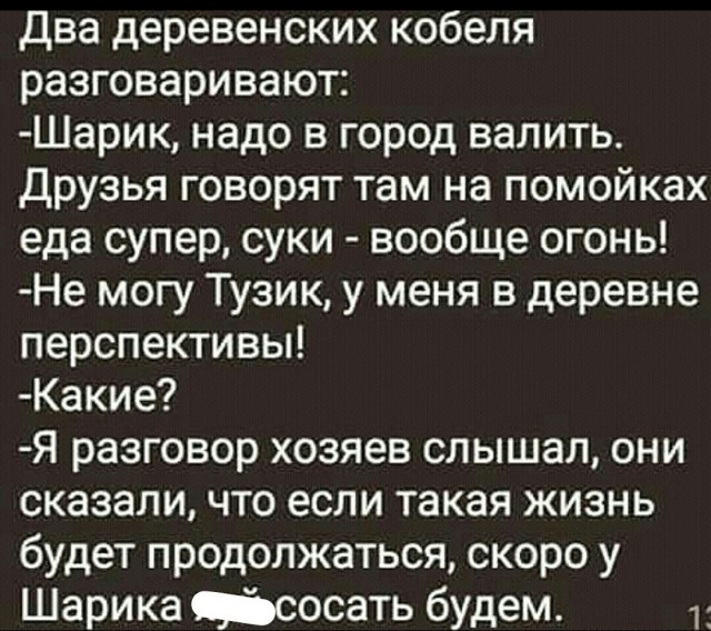 Так себе картинки 04.06.22