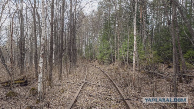 «Ядерные зубы для Акулы» — ступени советских ракет Р-39 «Барк» в уральском лесу