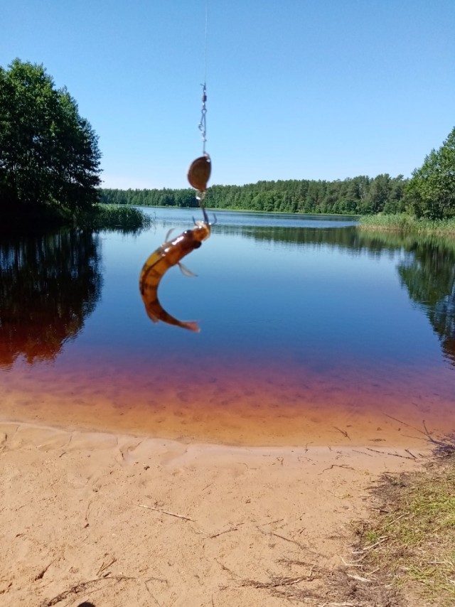 После развода